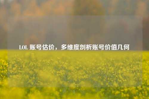LOL 账号估价，多维度剖析账号价值几何