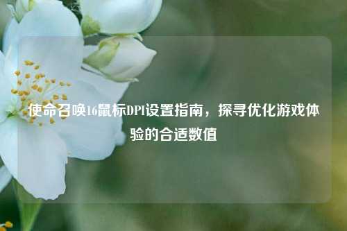使命召唤16鼠标DPI设置指南，探寻优化游戏体验的合适数值