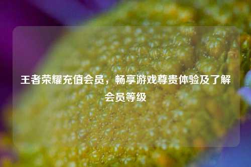王者荣耀充值会员,畅享游戏尊贵体验及了解会员等级