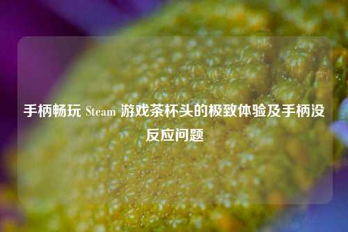 手柄畅玩 Steam 游戏茶杯头的极致体验及手柄没反应问题