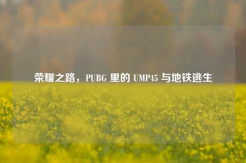 荣耀之路,PUBG 里的 UMP45 与地铁逃生