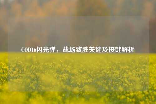 COD16闪光弹,战场致胜关键及按键解析
