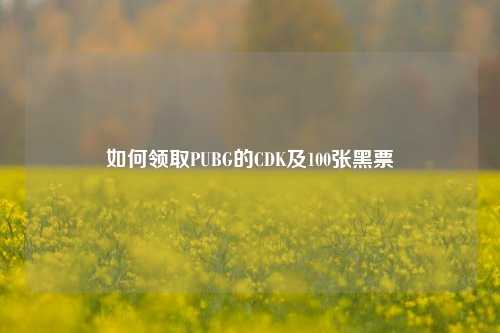 如何领取PUBG的CDK及100张黑票