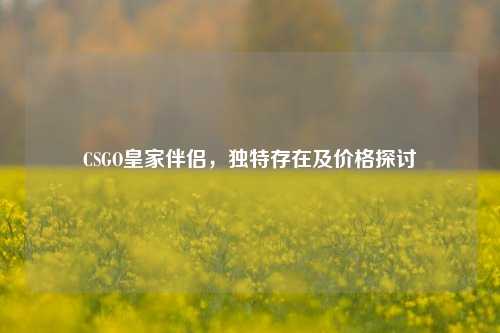 CSGO皇家伴侣,独特存在及价格探讨