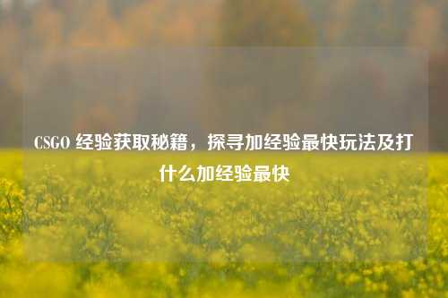 CSGO 经验获取秘籍,探寻加经验最快玩法及打什么加经验最快