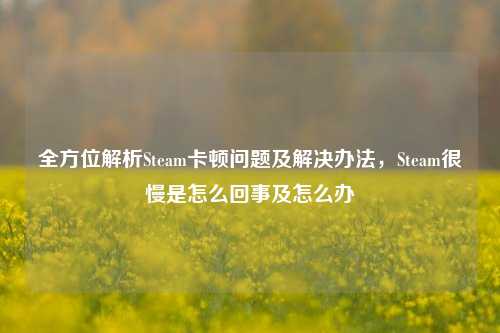 全方位解析Steam卡顿问题及解决办法,Steam很慢是怎么回事及怎么办