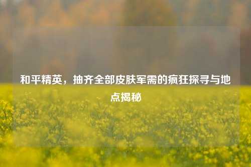 和平精英,抽齐全部皮肤军需的疯狂探寻与地点揭秘
