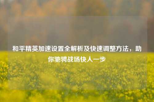 和平精英加速设置全解析及快速调整方法,助你驰骋战场快人一步