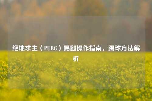 绝地求生(PUBG)踢腿操作指南,踢球方法解析