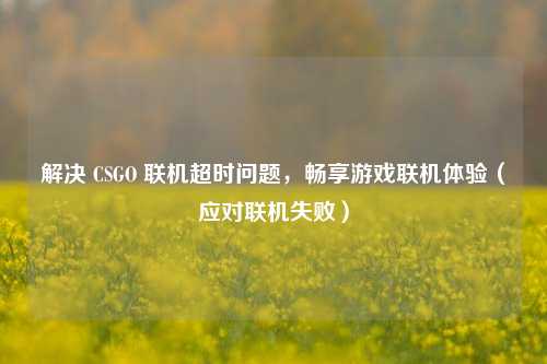 解决 CSGO 联机超时问题，畅享游戏联机体验（应对联机失败）