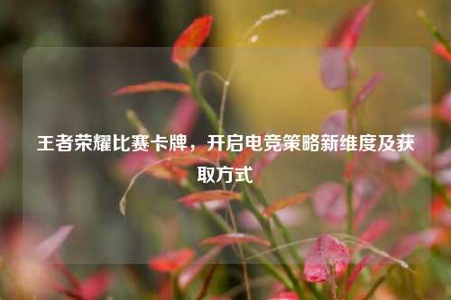 王者荣耀比赛卡牌,开启电竞策略新维度及获取方式