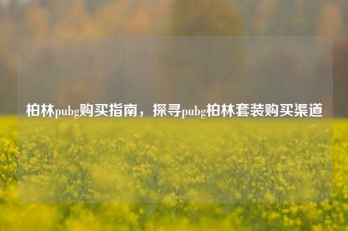 柏林pubg购买指南，探寻pubg柏林套装购买渠道