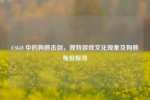 CSGO 中的狗熊击剑，独特游戏文化现象及狗熊身份探寻