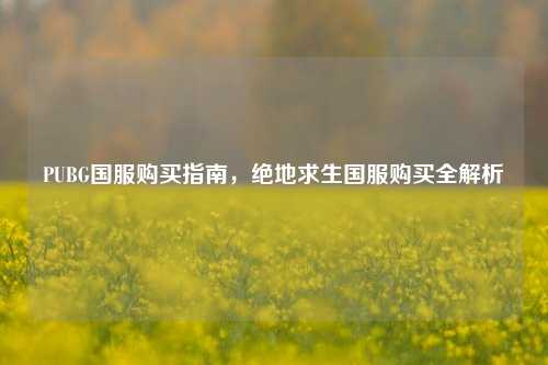 PUBG国服购买指南,绝地求生国服购买全解析