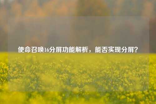 使命召唤16分屏功能解析,能否实现分屏?