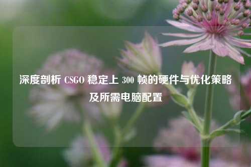 深度剖析 CSGO 稳定上 300 帧的硬件与优化策略及所需电脑配置