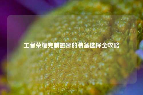 王者荣耀克制露娜的装备选择全攻略