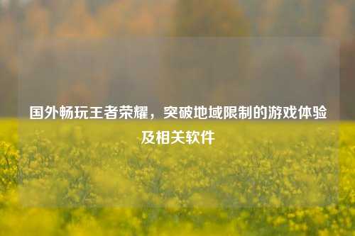 国外畅玩王者荣耀,突破地域限制的游戏体验及相关软件
