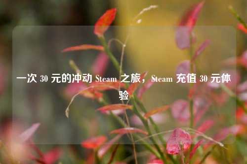 一次 30 元的冲动 Steam 之旅,Steam 充值 30 元体验