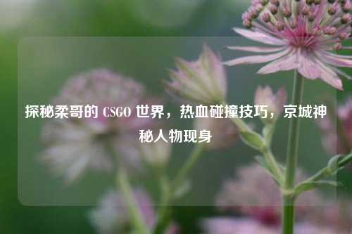 探秘柔哥的 CSGO 世界，热血碰撞技巧，京城神秘人物现身