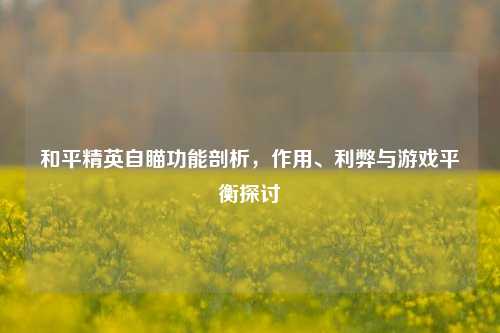 和平精英自瞄功能剖析，作用、利弊与游戏平衡探讨