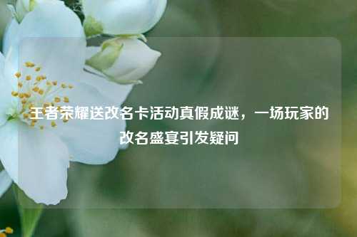 王者荣耀送改名卡活动真假成谜，一场玩家的改名盛宴引发疑问