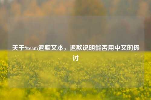 关于Steam退款文本，退款说明能否用中文的探讨