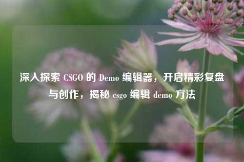 深入探索 CSGO 的 Demo 编辑器，开启精彩复盘与创作，揭秘 csgo 编辑 demo 方法