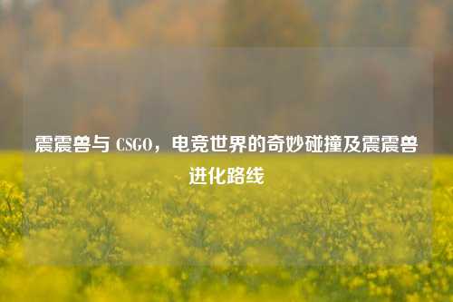 震震兽与 CSGO,电竞世界的奇妙碰撞及震震兽进化路线