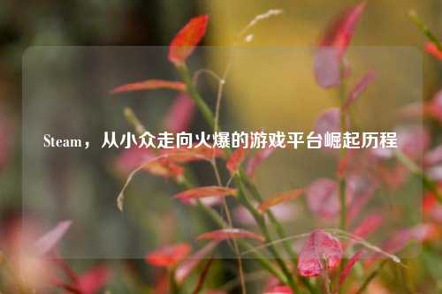 Steam,从小众走向火爆的游戏平台崛起历程
