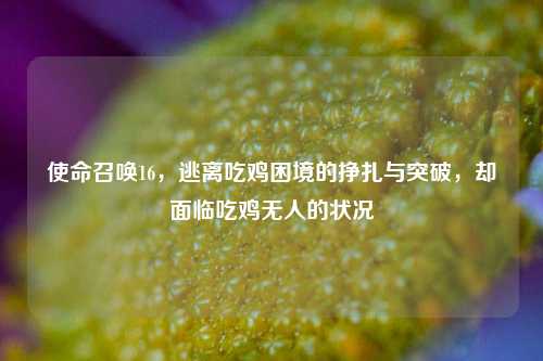 使命召唤16,逃离吃鸡困境的挣扎与突破,却面临吃鸡无人的状况