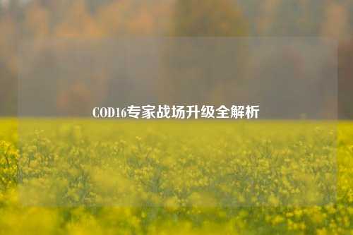 COD16专家战场升级全解析