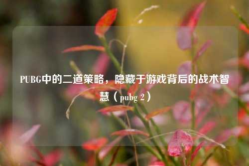 PUBG中的二道策略，隐藏于游戏背后的战术智慧（pubg 2）