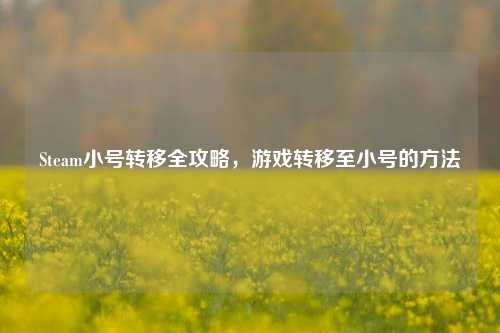 Steam小号转移全攻略,游戏转移至小号的方法