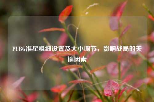 PUBG准星粗细设置及大小调节,影响战局的关键因素