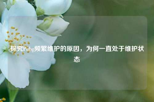 探究Pubg频繁维护的原因,为何一直处于维护状态