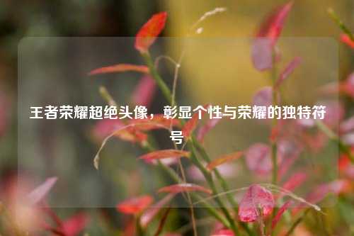 王者荣耀超绝头像,彰显个性与荣耀的独特符号