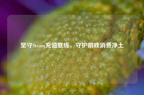 坚守Steam充值底线，守护游戏消费净土