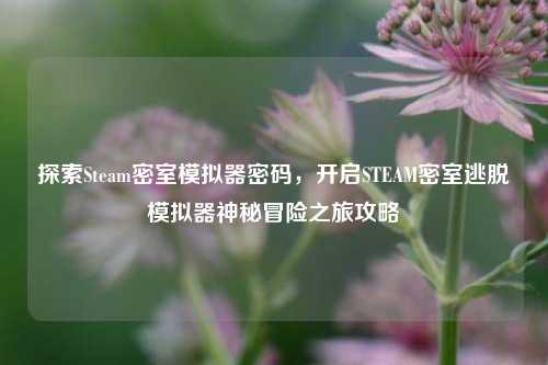 探索Steam密室模拟器密码,开启STEAM密室逃脱模拟器神秘冒险之旅攻略