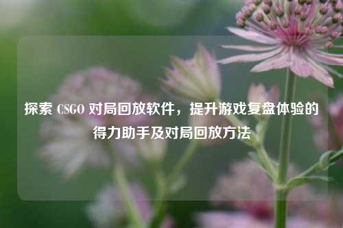 探索 CSGO 对局回放软件，提升游戏复盘体验的得力助手及对局回放方法