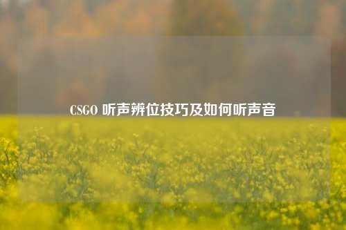 CSGO 听声辨位技巧及如何听声音