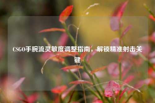 CSGO手腕流灵敏度调整指南,解锁精准射击关键