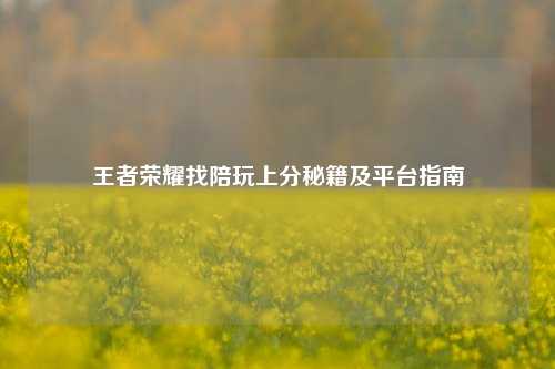 王者荣耀找陪玩上分秘籍及平台指南
