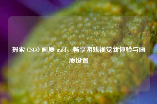 探索 CSGO 画质 mod，畅享游戏视觉新体验与画质设置