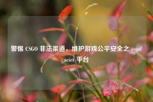 警惕 CSGO 非法渠道，维护游戏公平安全之 csgofaciet 平台