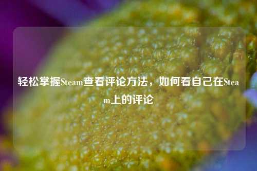 轻松掌握Steam查看评论方法,如何看自己在Steam上的评论