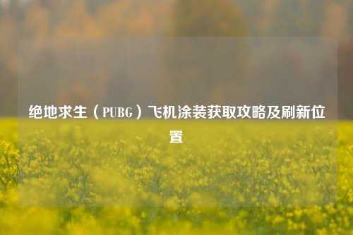 绝地求生(PUBG)飞机涂装获取攻略及刷新位置