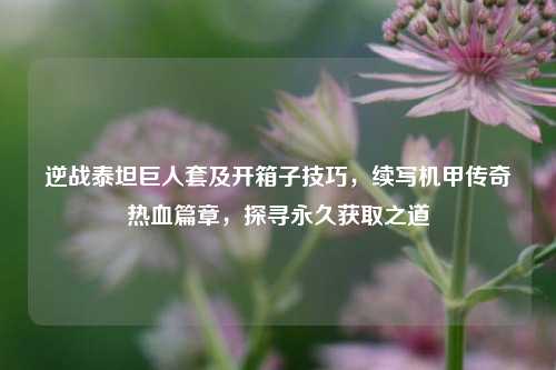 逆战泰坦巨人套及开箱子技巧，续写机甲传奇热血篇章，探寻永久获取之道
