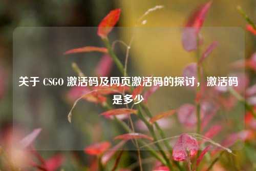 关于 CSGO 激活码及网页激活码的探讨,激活码是多少