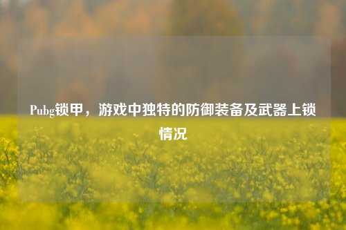 Pubg锁甲，游戏中独特的防御装备及武器上锁情况